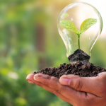 Marcello José Abbud