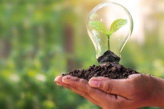 Marcello José Abbud