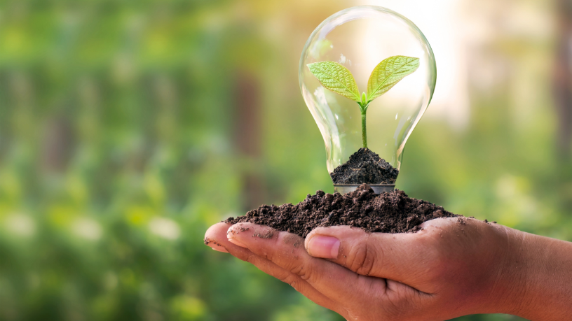 Marcello José Abbud