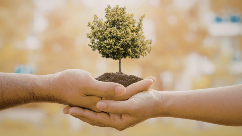 Marcello José Abbud